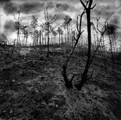 desolazione desolazione